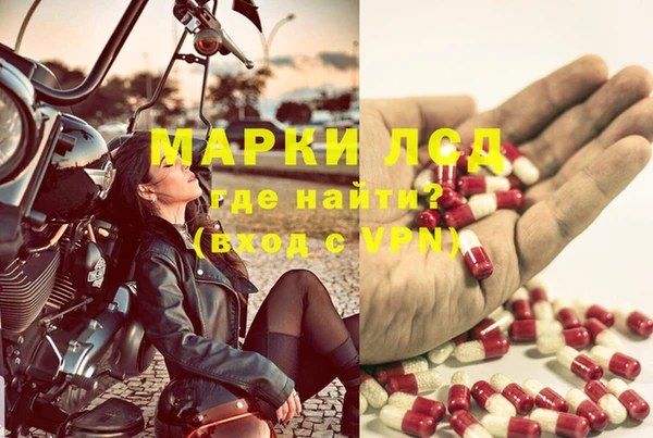 mdpv Магадан