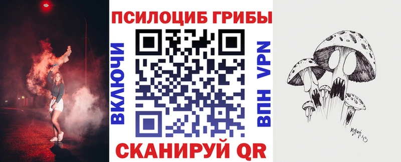 мега маркетплейс  Эртиль  Псилоцибиновые грибы ЛСД 